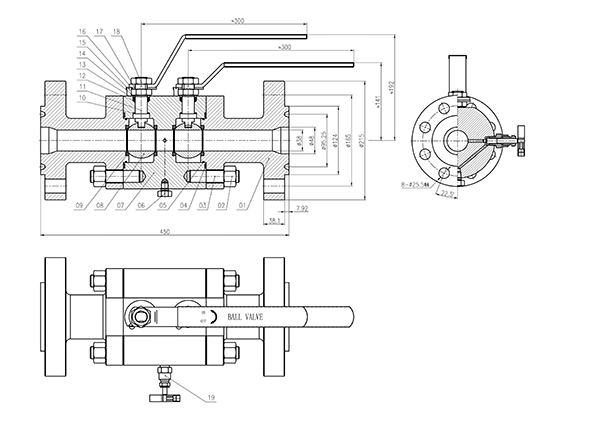 DBB-雙堵塞雙排放球閥(RFxNPT) DBB-雙堵塞雙排放球閥(RFxNPT)
